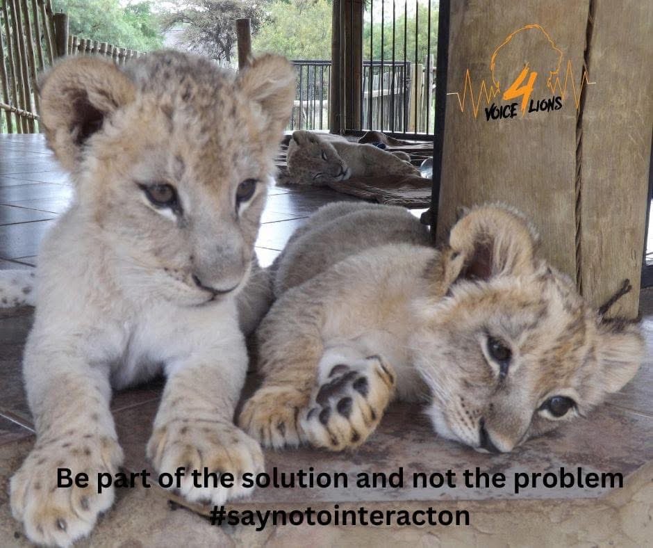 LindaPa60824893's tweet photo. #BeTheirVoice
#stoptheirsuffering
#saynotointeraction https://t.co/Iw4awKHhon