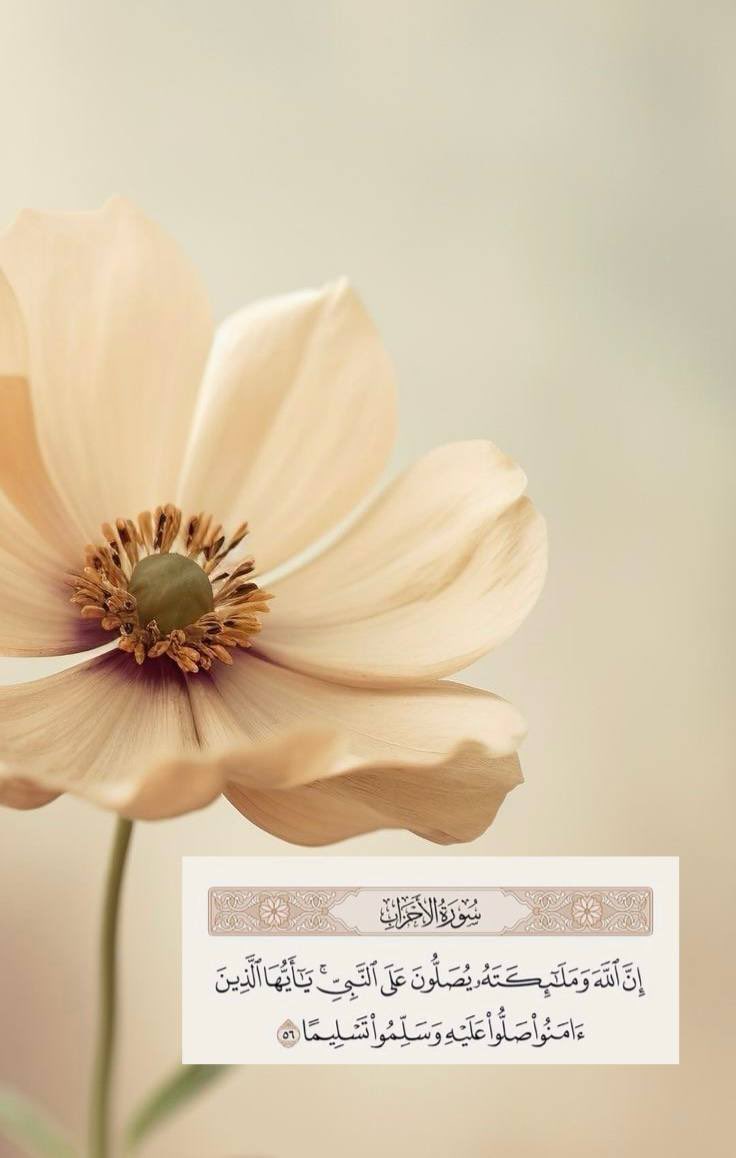 يقول ﷺ: "حيثما كنتم فصلُّوا عليّ؛ فإن صلاتكم تبلُغني"

اللهم صلِّ وسلم على نبينا محمد
اللهم صلِّ وسلم على نبينا محمد
اللهم صلِّ وسلم على نبينا محمد