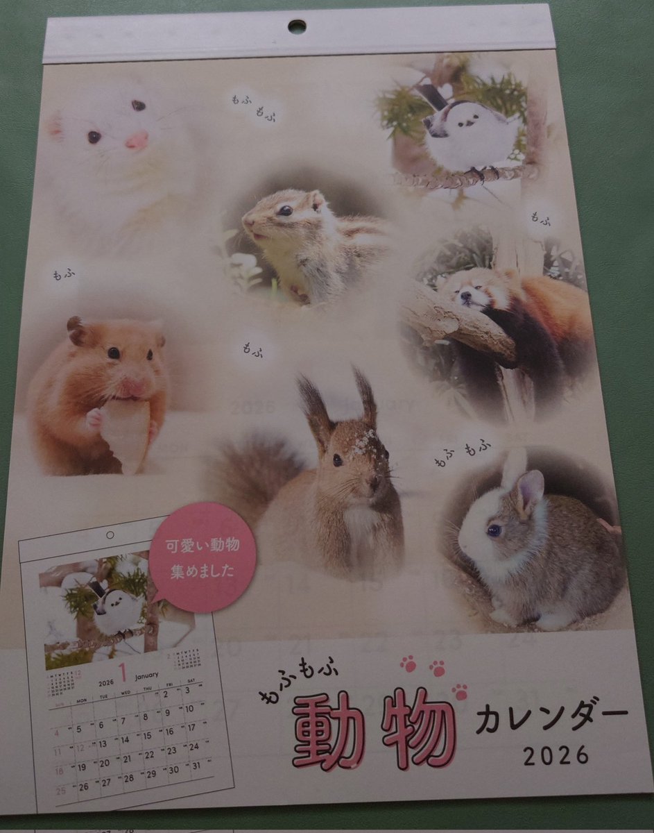 うにと弱音とベビ tweet media