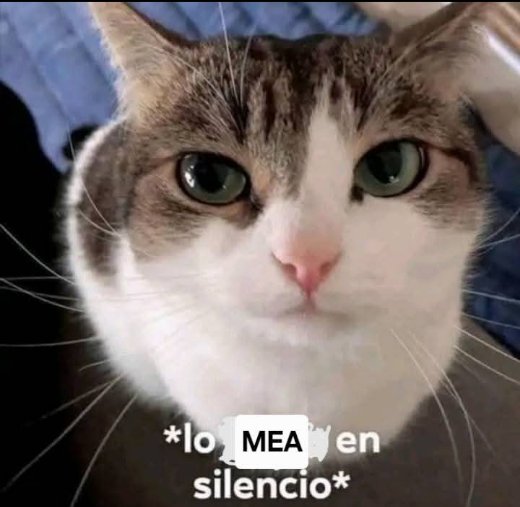 Aj Styles (@styles_aj20205) on Twitter photo 