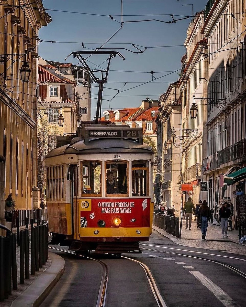IslaBrown589912's tweet image. Lisbon, Portugal