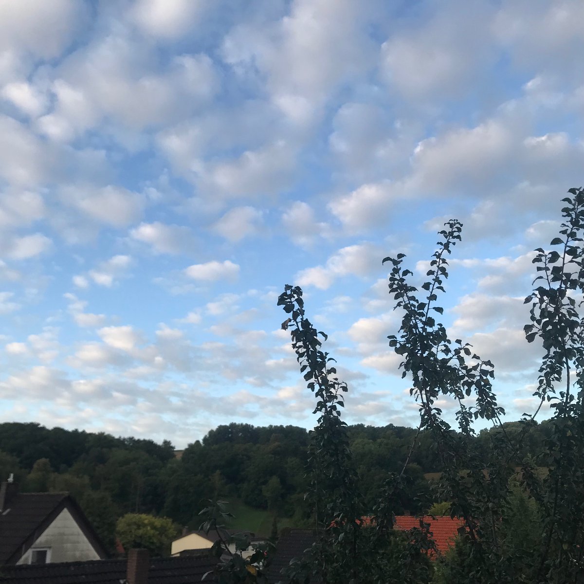 Erfolgreiches #Geoengineering
mit #Chemclouds  am Morgen .
So sieht’s aus!
#Klimawandel #Erderhitzung
#Dürrekrise
<a href="/pulpo404/">pulpo404</a> <a href="/FPflaumenbaum/">fritzchenpflaumenbaum</a>