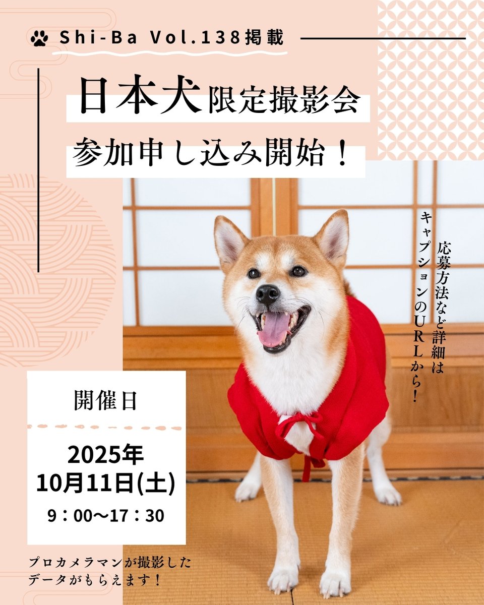 📸日本犬限定撮影会 ＼ 『Shi-Ba』で活躍中のプロカメラマンによる
