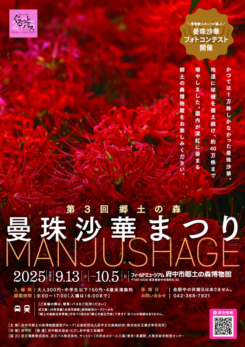 kyodo_no_mori's tweet photo. ＼明日9/13(土)から開催／
＃郷土の森曼珠沙華まつり
📅2025年9/13(土)～10/5(日)

明日から開催の曼珠沙華まつり。
頑張って芽を出してくれていますが、開花はもう少し先になりそうです。
開花状況は下記URLで随時更新していきますので
ご確認の上、ご来場ください！
https://t.co/SdQn08wO07 https://t.co/FUUM35FoZe