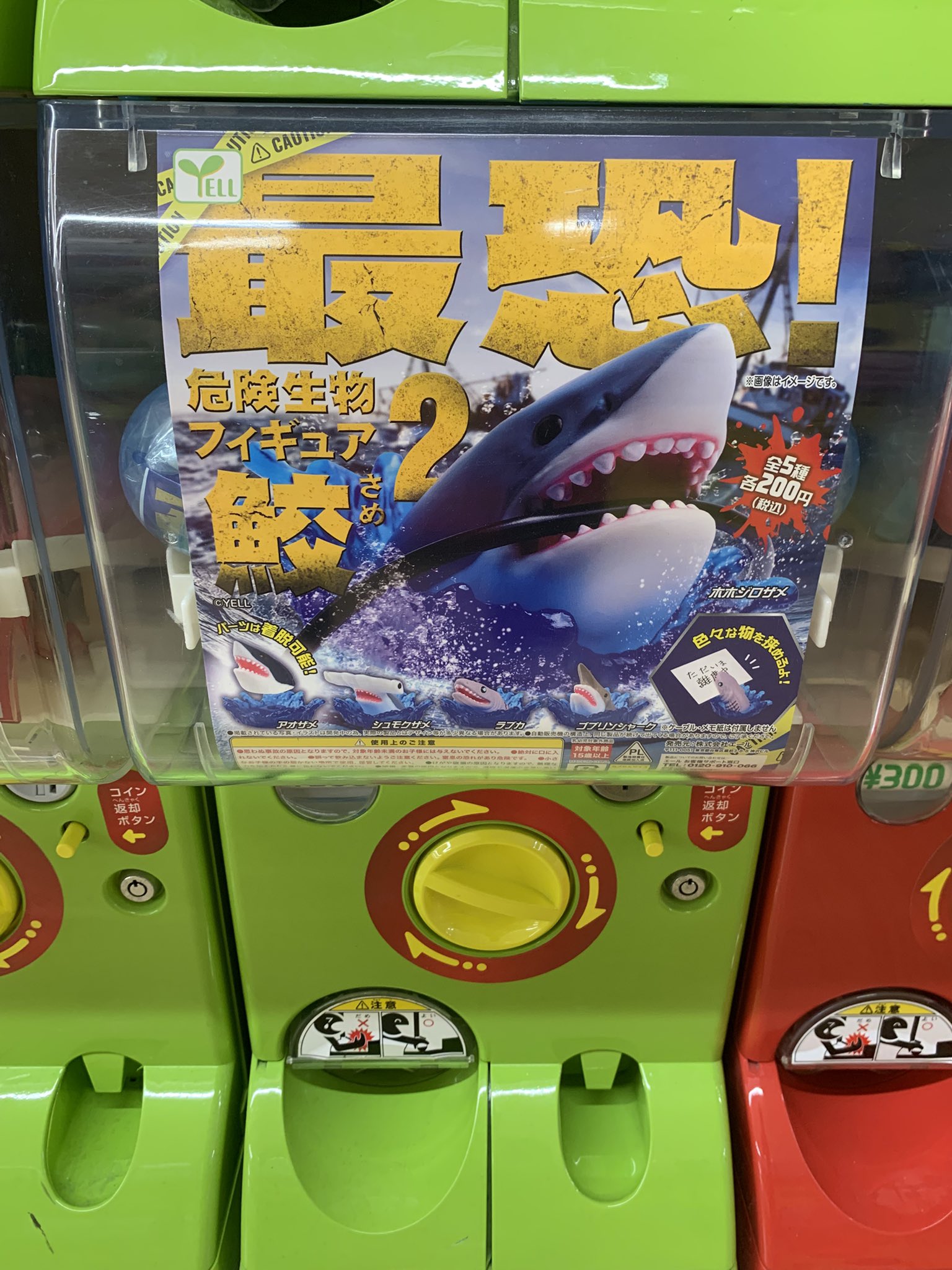 みそきんブームの波に乗るサメ VJみず (@mky_brain) / X