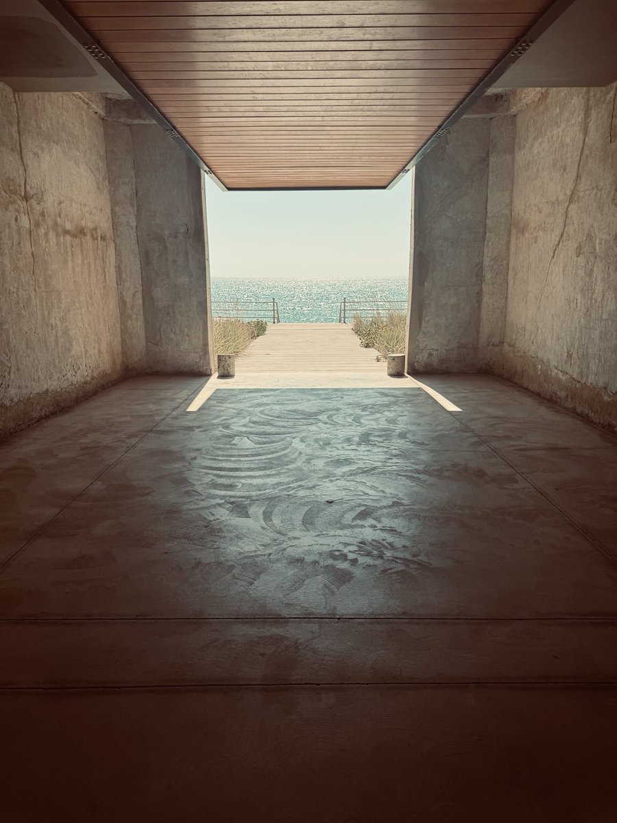 sunflower (@chr90688) on Twitter photo 