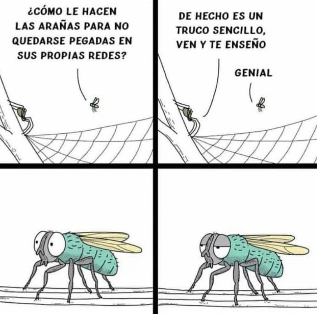 Ana_LaPatata (@ymuchosmemes) on Twitter photo 