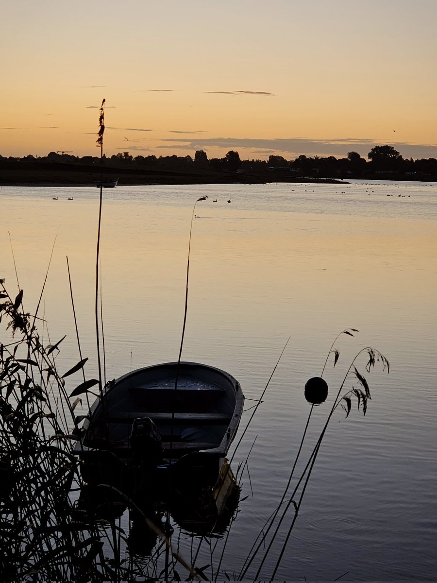 Motormiss's tweet image. Een frisse wind, zachte kleuren en herfstgevoel. Want ja de meidoornbessen en de hopbellen rijpen. Ook een mooi doorkijkje met een bootje en ja daar was de zon. Nu eerst even opwarmen 
#Andel #Altena #afgedamdemaas #zonsopgang