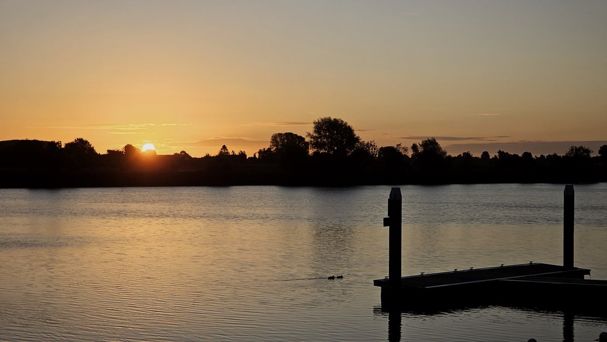 Motormiss's tweet image. Een frisse wind, zachte kleuren en herfstgevoel. Want ja de meidoornbessen en de hopbellen rijpen. Ook een mooi doorkijkje met een bootje en ja daar was de zon. Nu eerst even opwarmen 
#Andel #Altena #afgedamdemaas #zonsopgang