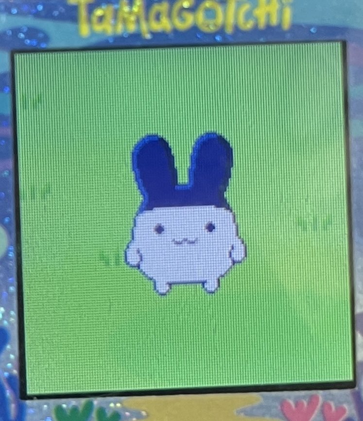 みみっちになった！うれしい！