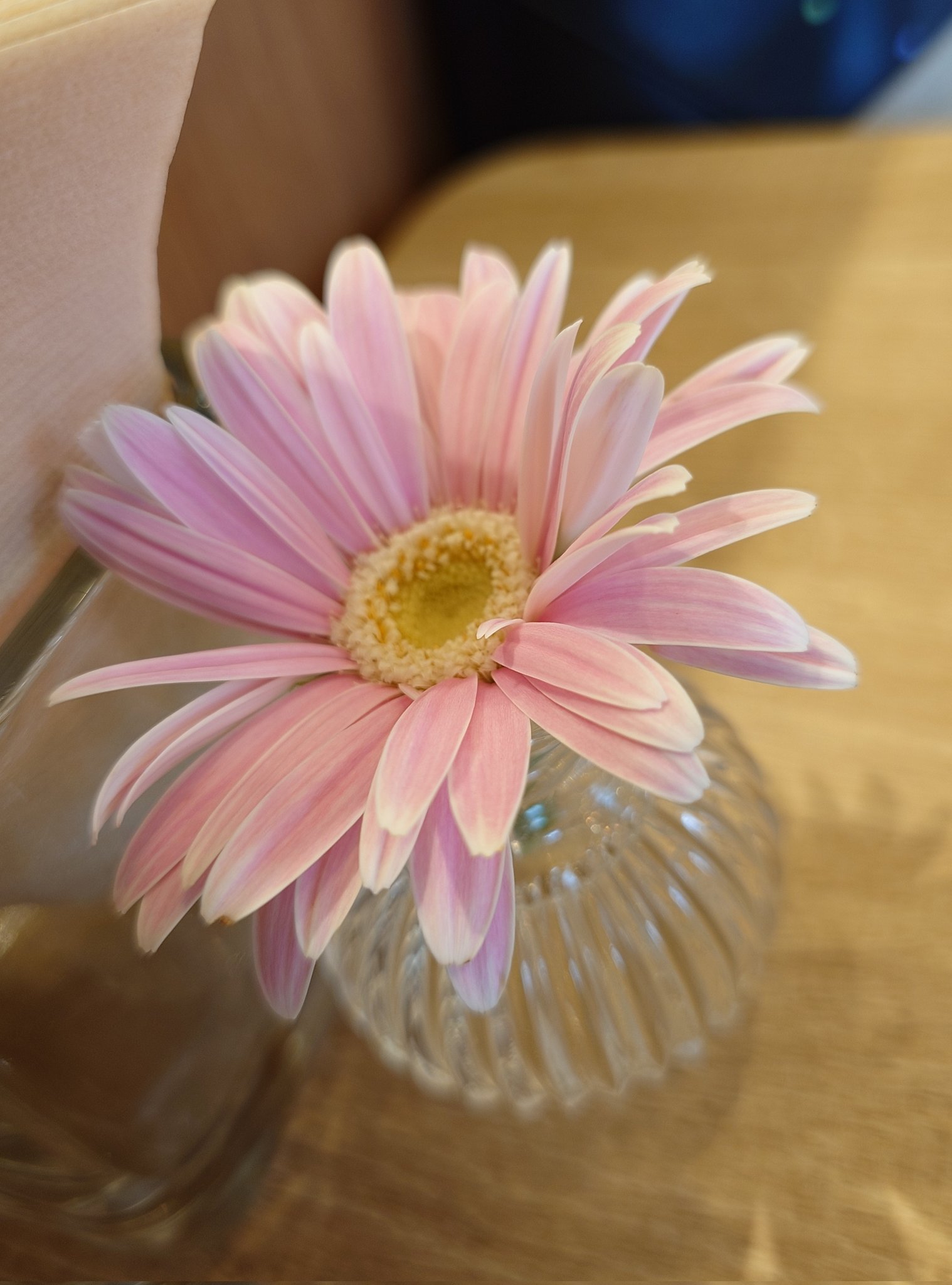花花♡ページ　他の方購入不可 kai χ66🎁 on X: 