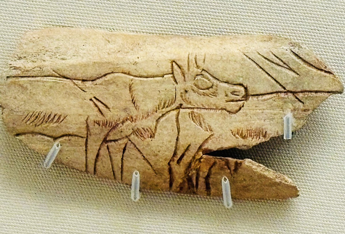 Jim Leary tweet media