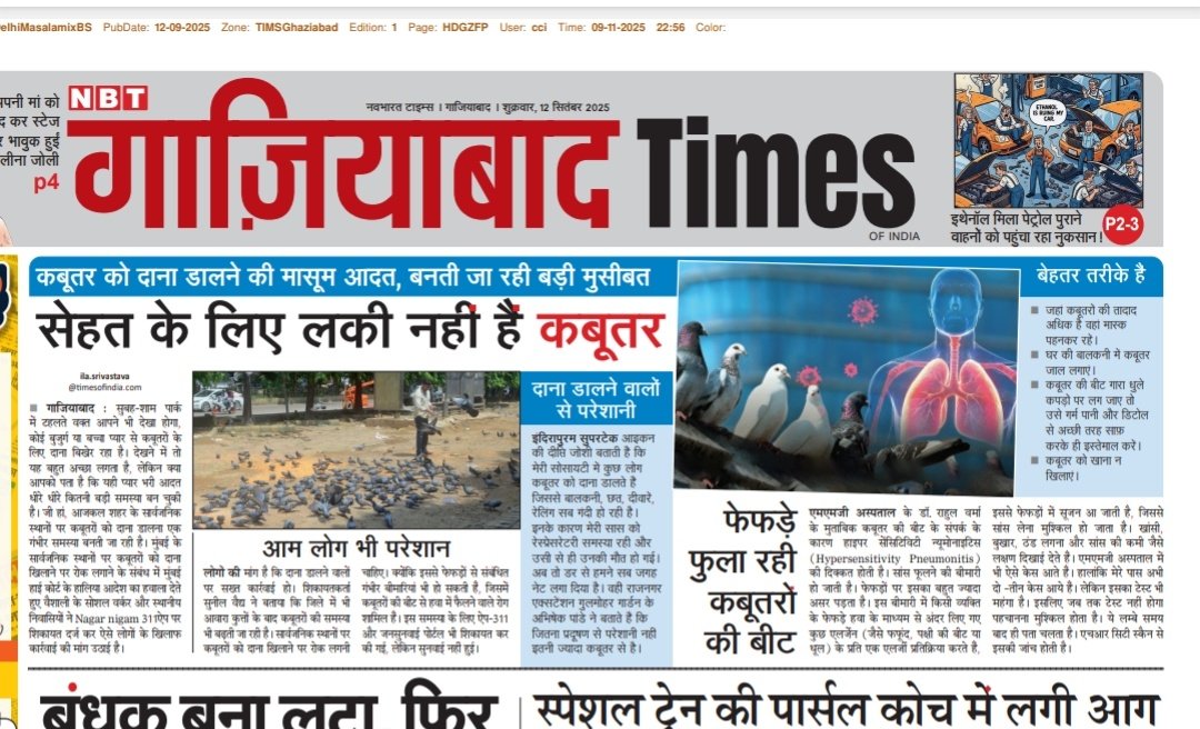 #Ghaziabad मासूम दया किसी के स्वास्थ्य के लिए घातक हो सकती है ।   सार्वजनिक स्थानों पर कबूतर को दाना डालना दया या किसी के लिए कष्ट. <a href="/alokkumara1/">Alok Kumar</a> <a href="/akshay4aks/">akshay shukla</a> <a href="/ssri386/">sanjay srivastava</a> <a href="/kuldeepsaxena/">kuldeepsaxena</a> <a href="/VillageAmrapali/">AMRAPALI VILLAGE APARTMENT #AVIANS! 🪷</a> <a href="/AMRUTCityGzb/">Ghaziabad Nagar Nigam</a> <a href="/sunitadayalbjp/">Sunita Dayal Aggarwal (Modi ka Parivar)</a> <a href="/gdagzb/">GDA Ghaziabad</a>  <a href="/dm_ghaziabad/">DM Ghaziabad</a> <a href="/dollysharmaINC/">Dolly Sharma</a> <a href="/NBTDilli/">NBT Dilli</a>