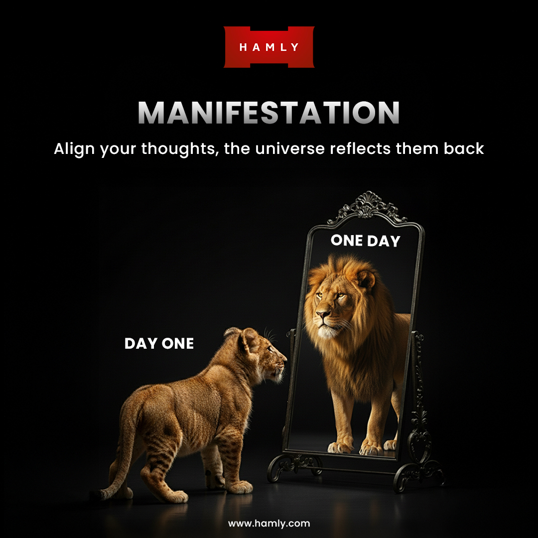 Hamsavardhan Mohan tweet media