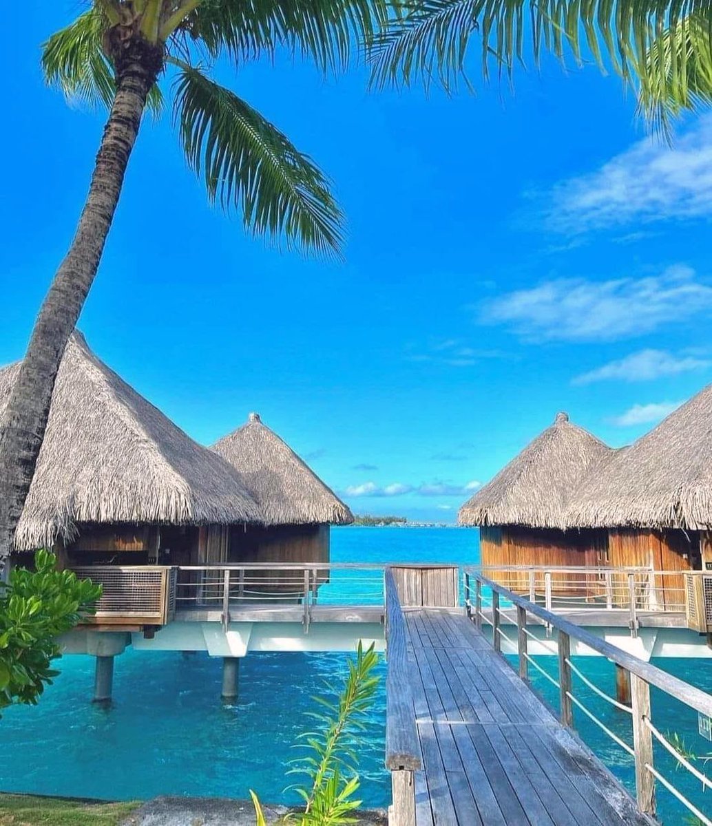 ruby_willi54961's tweet image. Bora Bora  The St. Regis Bora Bora Resort