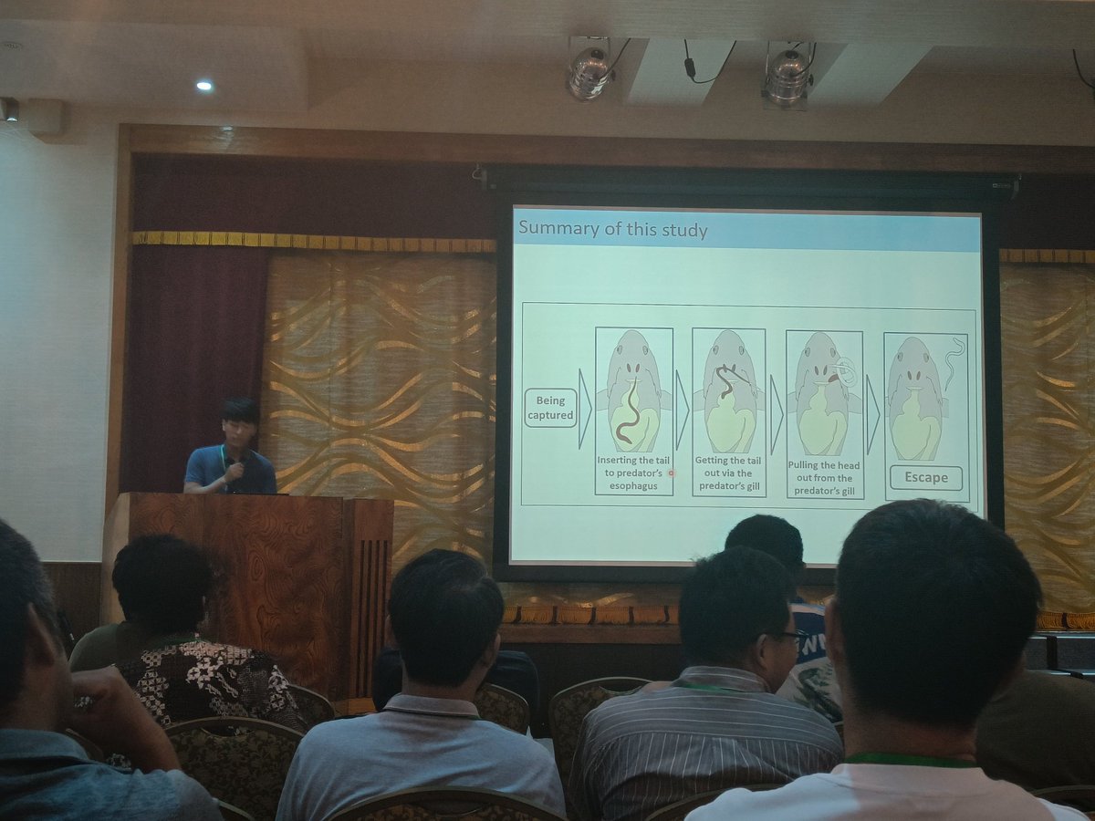 Yuha Hasegawa from <a href="/NU_kouhou/">長崎大学 Nagasaki University</a> on the escape acts of anguillid eels from the stomachs of predatory fish #FAIES2025 First Asian International Eel Symposium #Amamioshima
<a href="/NecoBus_8110/">Hikaru Itakura（板倉光）</a> <a href="/ChungTsung/">Ming-Tsung Chung</a> <a href="/shagi1983/">萩原聖士 / Seishi Hagihara</a>