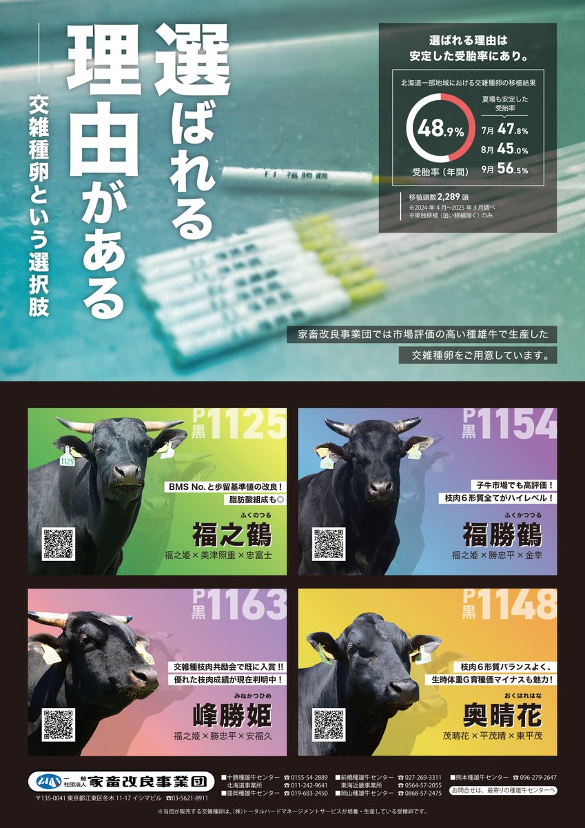 福勝鶴　おまとめ 福勝鶴