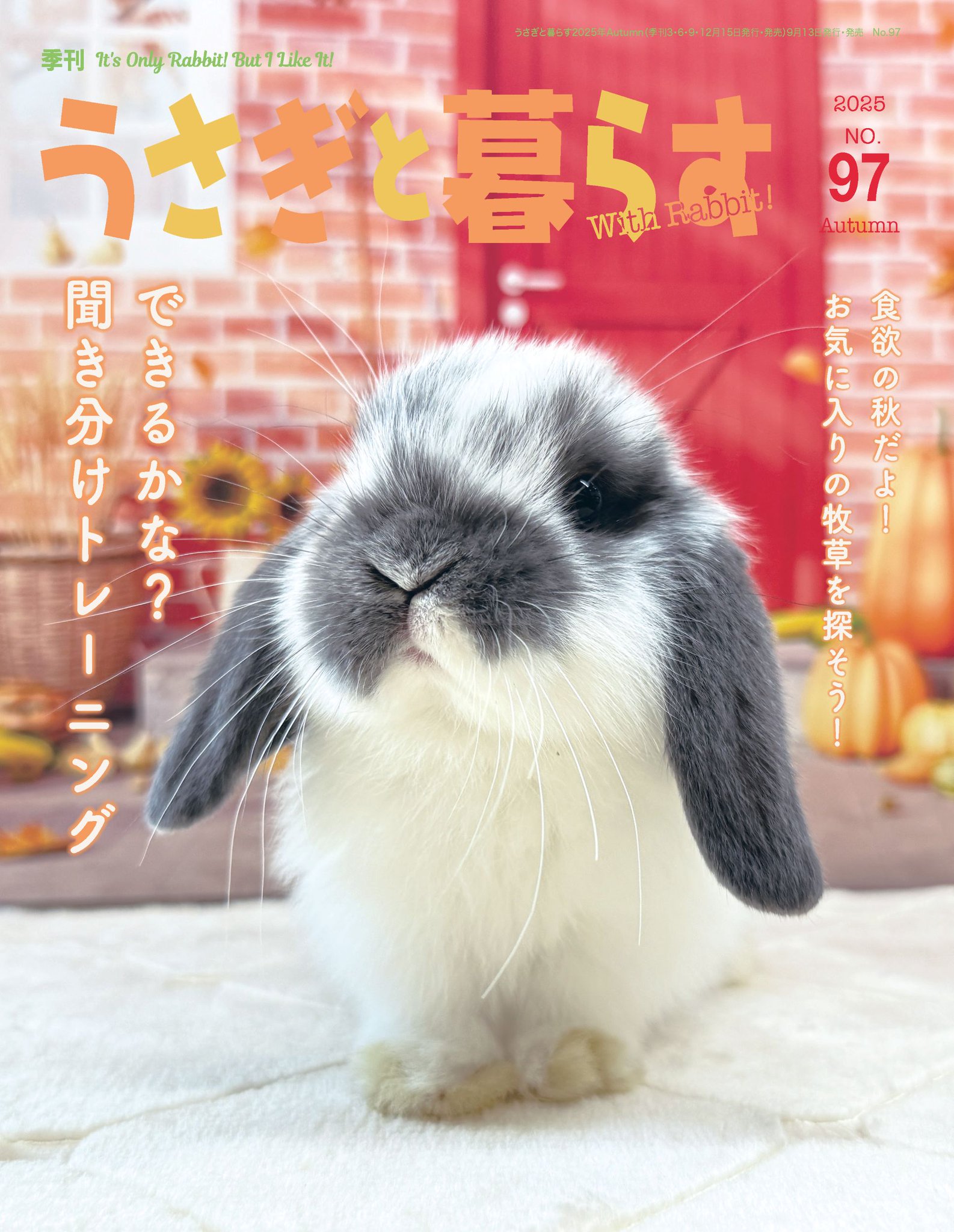 うさぎと暮らす」編集部🐰 on X: 
