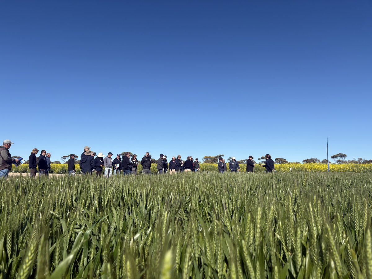 Summit Fertilizers tweet media