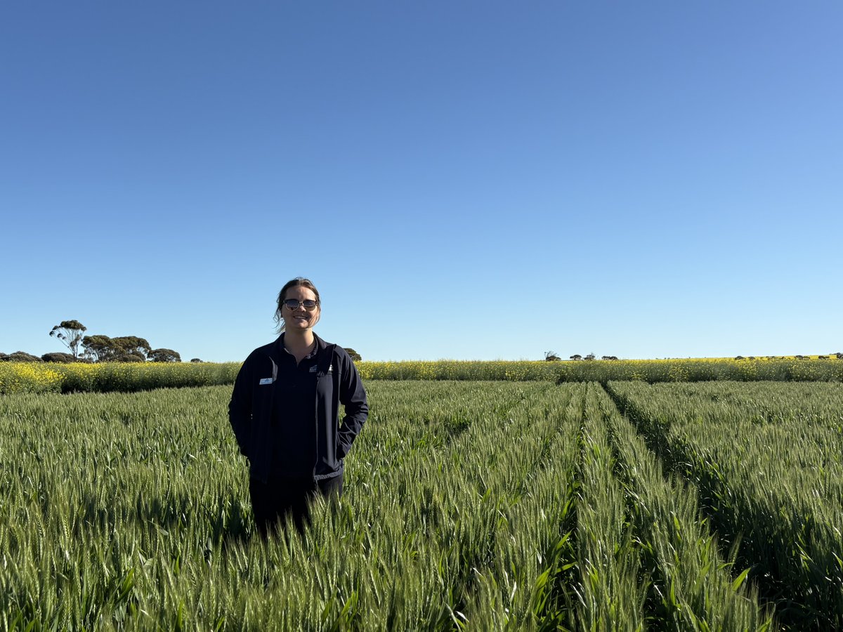 What a great turnout for <a href="/LiebeGroup/">Liebe Group</a> Spring Field Day!
Area Manager Saritha Marais presented on the N x P, <a href="/biowishtech/">BiOWiSH Technologies</a> and H2Optimise trials in-season results with promising results across our new products. Keep an eye out as we get into the end of the season and harvest for the