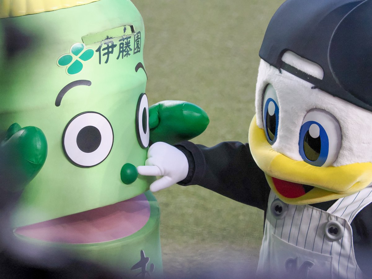 マーくん 4/10(火)～「マーくんかすてぃら」に新たな3種が追加!! - 千葉ロッテ