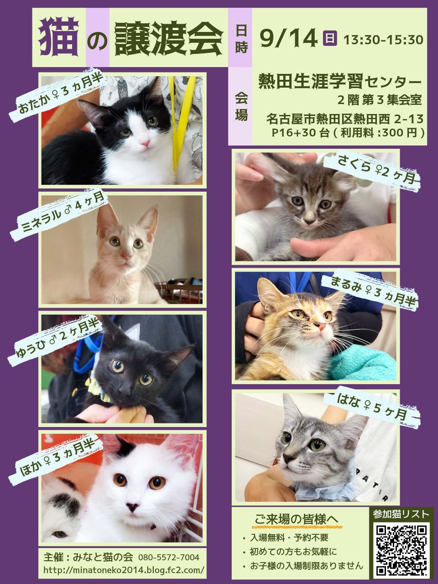 #拡散RP希望 
いつも猫たちのお家探しにご協力ありがとうございます
皆さまのお力添えにより
たくさんの猫が幸せになっております

【猫の譲渡会】
•9/14(日)13:30-15:30
•名古屋市熱田生涯学習センター

ご家族で、お友達と、
おひとりさまもお気軽にお越し下さい

#譲渡会 #猫好きさんと繫がりたい