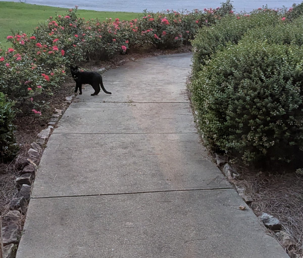 Garden patrol making the rounds