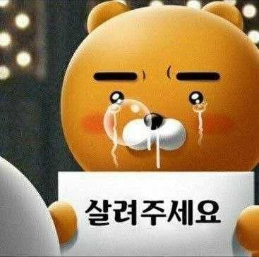 태풍상사 환영회 저 좀 주워가줘세요😭
흑흑...(질척)