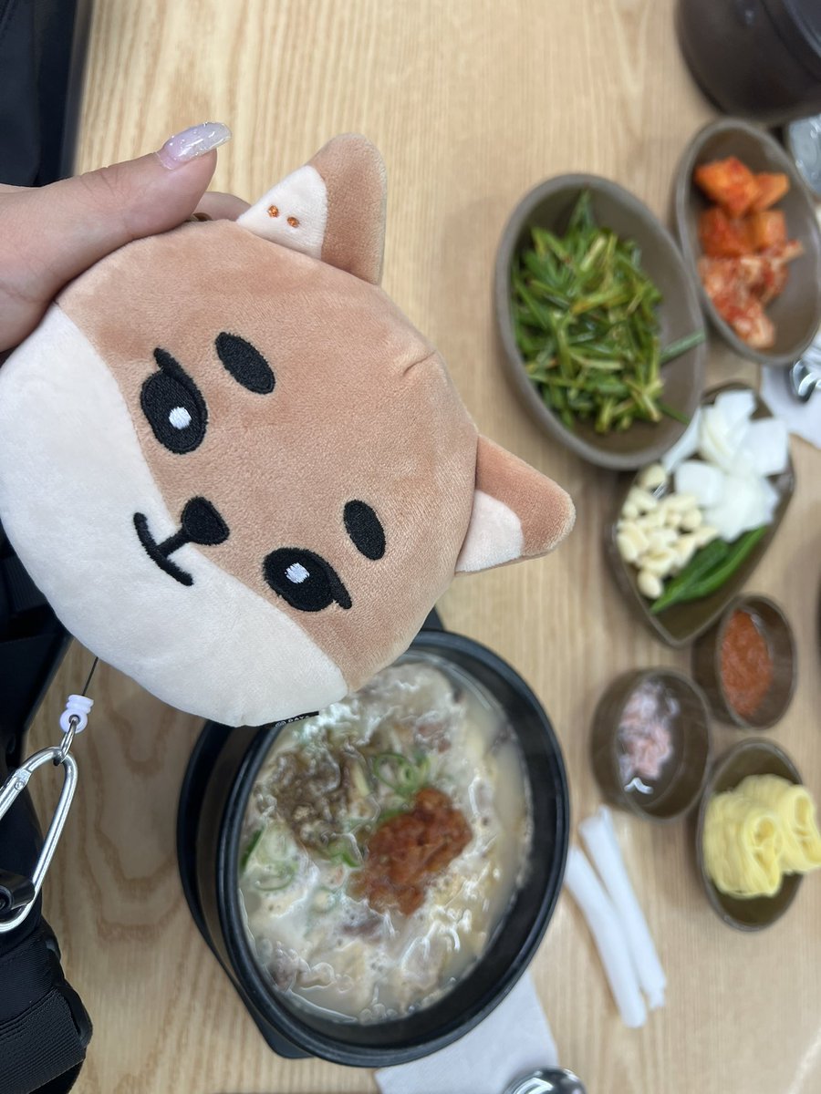 DAY6LONG's tweet photo. 부산오면 영진국밥 먹어줘야지 https://t.co/eTGzdIiPhH
