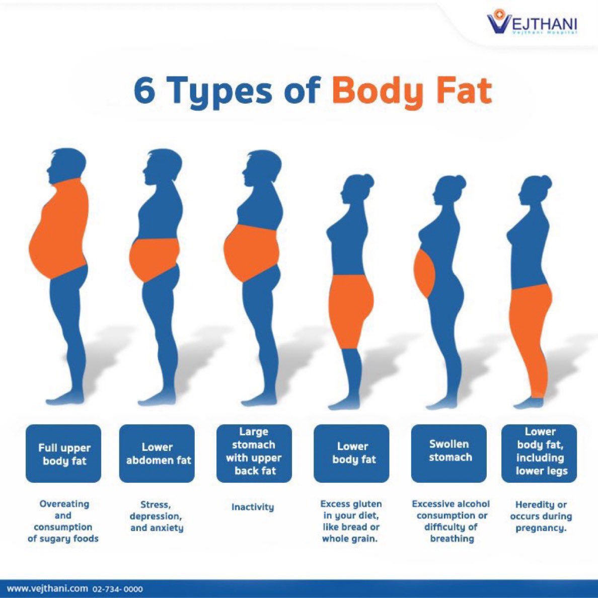 NutrioSci's tweet image. 6 types body fat #nutrition #obesity