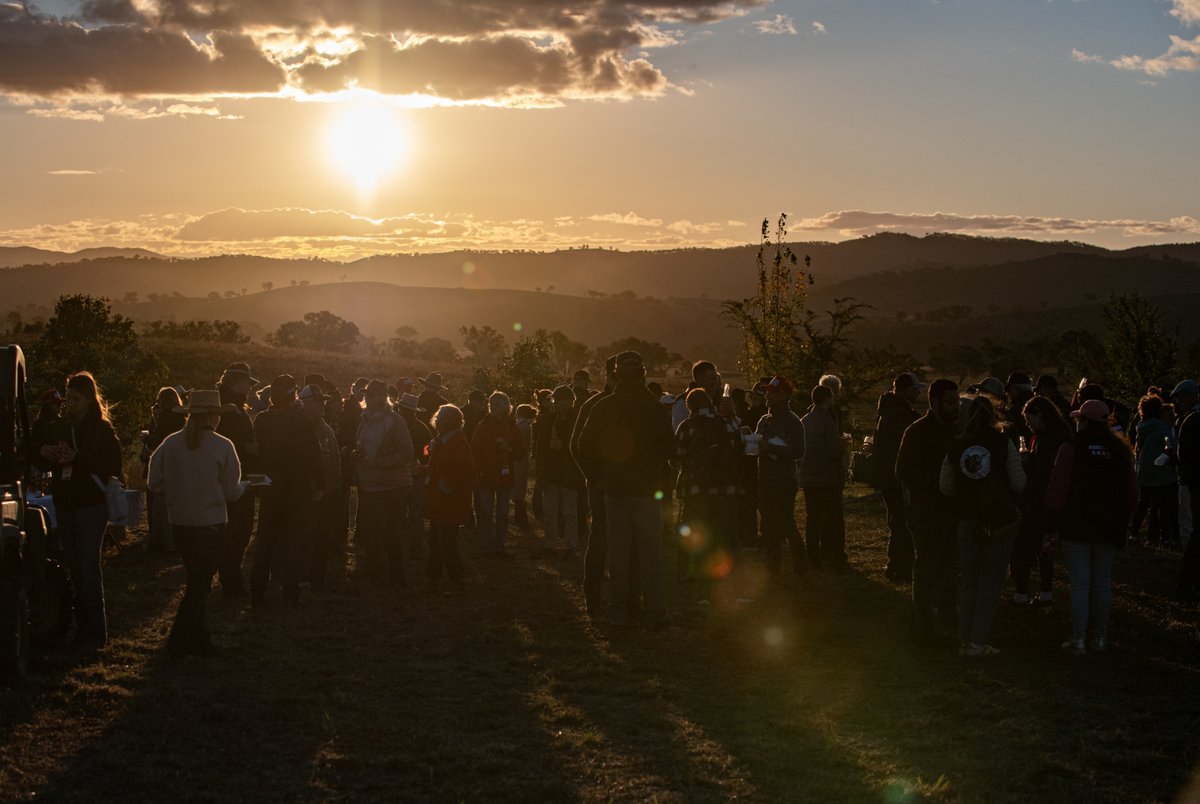 angusaustralia's tweet image. BREEDPLAN EBVs and genomic testing give today&apos;s breeders precision their grandparents could only dream of. Data-driven decisions building better cattle.

angusaustralia.com.au 
#AngusAustralia #ModernTools #BREEDPLAN #GenomicTesting #PrecisionBreeding