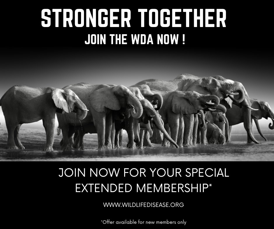 WildlifeDisease's tweet photo. Join the WDA today and we'll extend your membership out to December 31, 2026! That's almost four months of membership FREE. Anyone dedicated to saving our precious wildlife is welcome. Visit https://t.co/nJ0Dm6UZOn 
NB Offer available for new members only https://t.co/F8dyCi9lbm