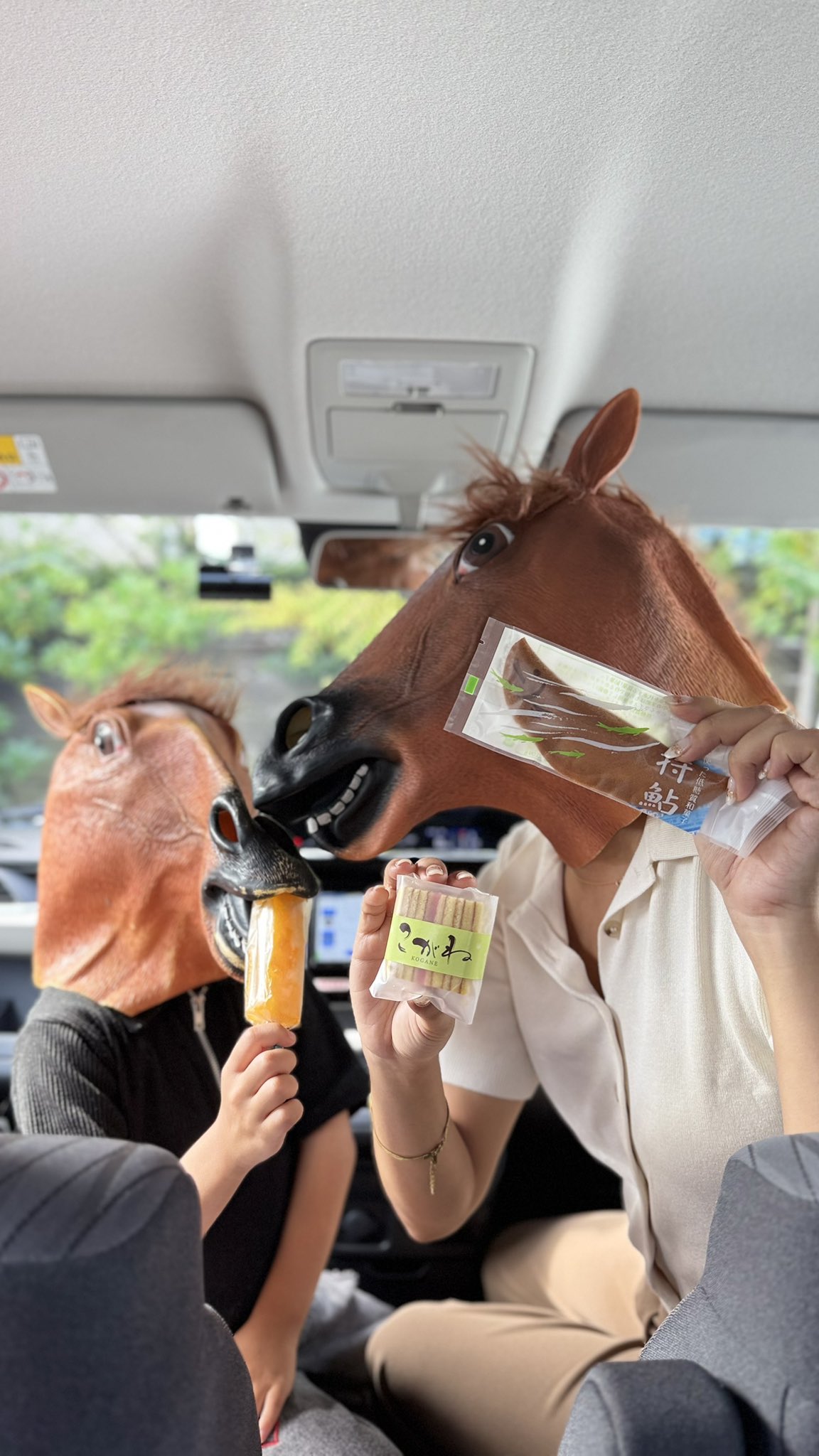 🐴田中です (@kitwell_tanaca) / X