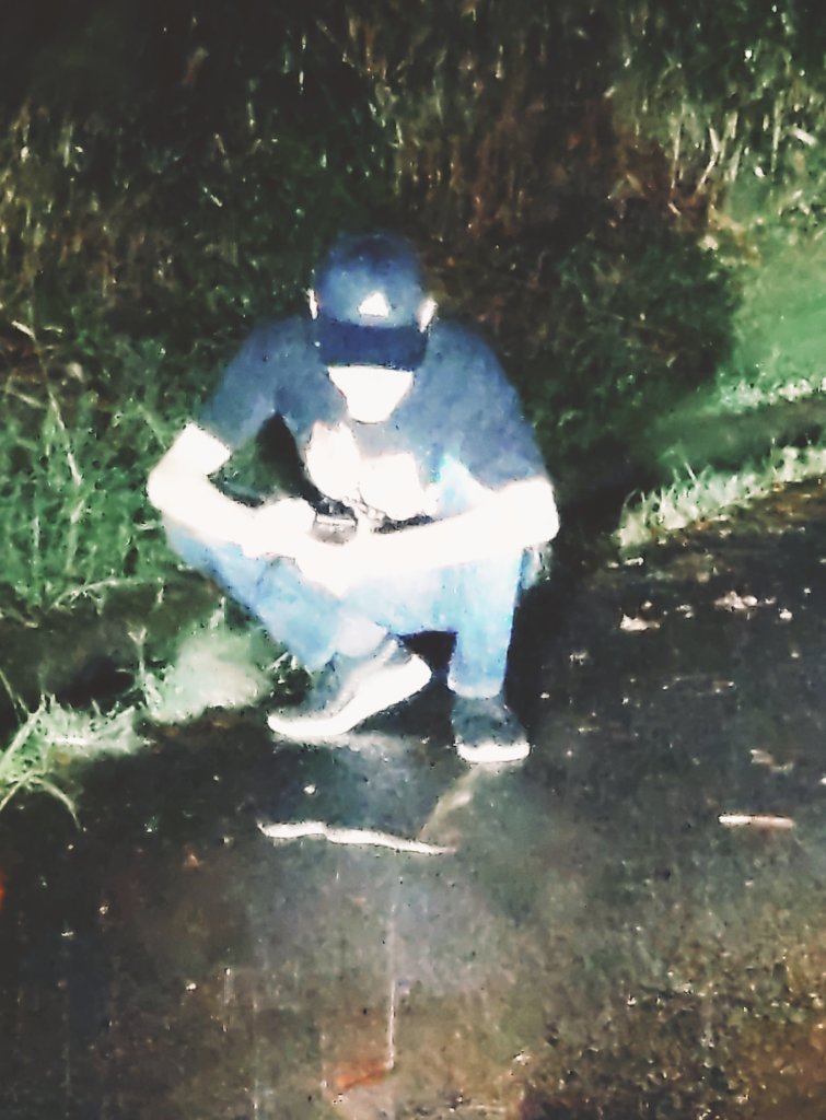 mikeko18's tweet image. マムシが道を渡り切るまで見守るまだら汁。

こういうシーンを見ると
お山に来て良かったー！と思いますっ。