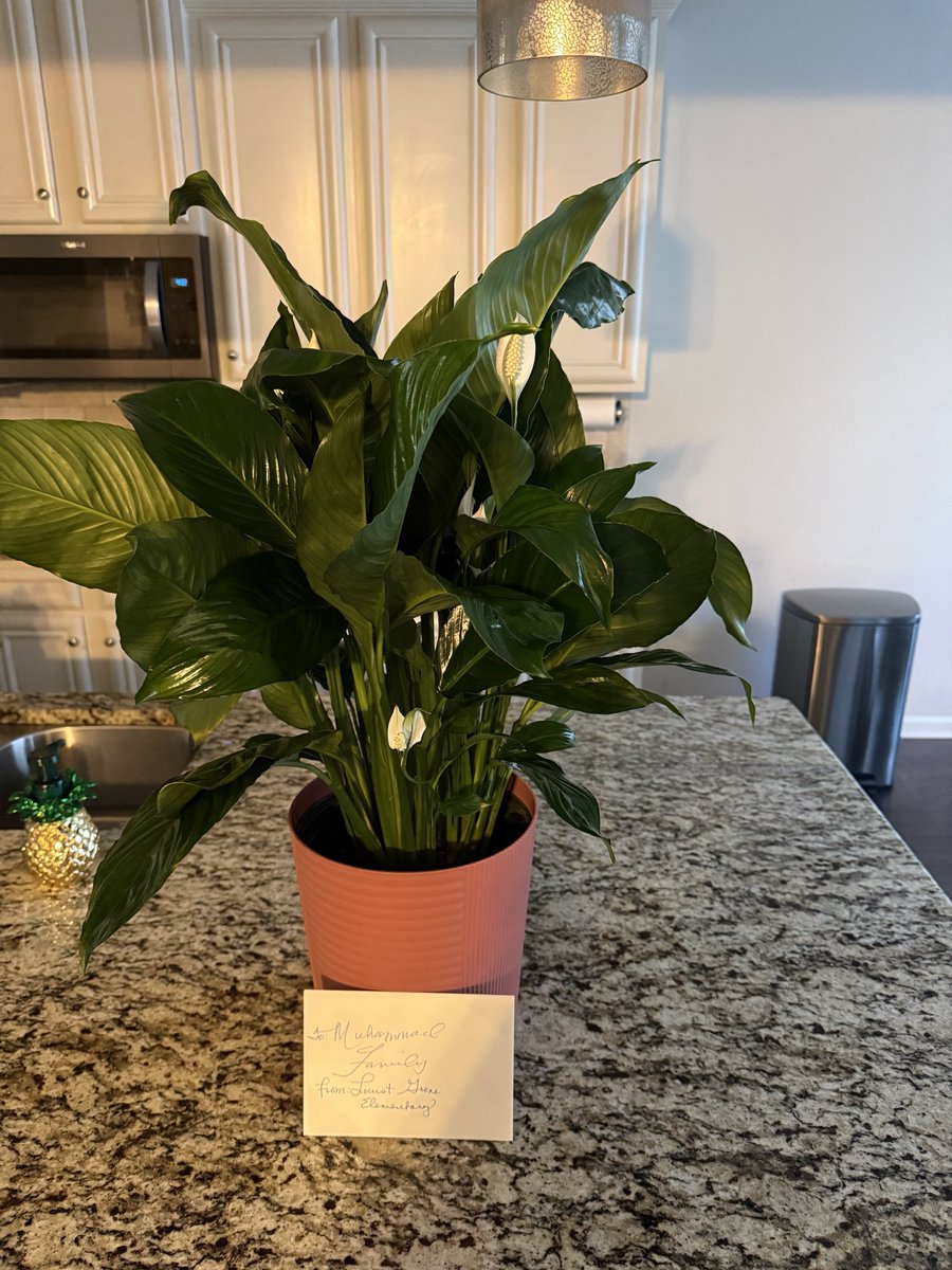 Dequandra Muhammad tweet media