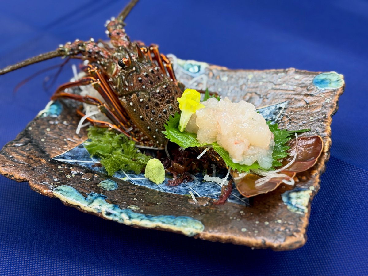 🦐💫9/12よりスタート💫🦐レストランメニューにも新たに【伊勢海老のお造り】が仲間入り！ 期間限定×水揚げ次第の“幻の一皿”✨出会えた方はぜひご堪能ください😉
#南三陸ホテル観洋 #レストランシーサイド #伊勢海老 #お造り #期間限定 #海鮮グルメ