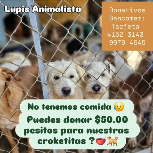 AndresGuzBJ's tweet photo. Apoyemos con un RT por favor! https://t.co/6zSa7SLB0S