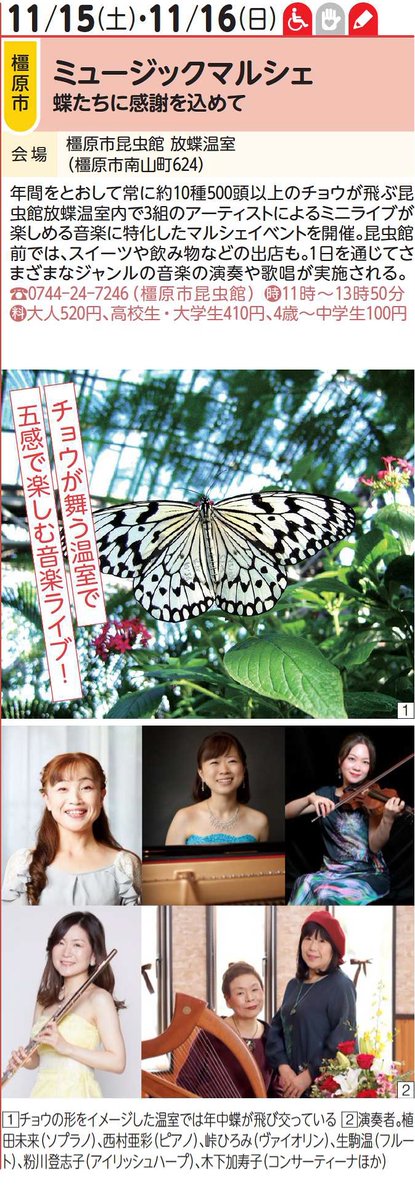 KashiharaKonchu's tweet photo. イベント情報 ミュージックマルシェ 蝶たちに感謝を込めて 11/15（土）11/16（日） 関西文化の日に昆虫館放蝶温室内で3組のアーティストによるミニライブが楽しめる音楽に特化したマルシェイベントを開催します。昆虫館前では、スイーツや飲み物などの出店も。 https://t.co/AV3XLIRZ33