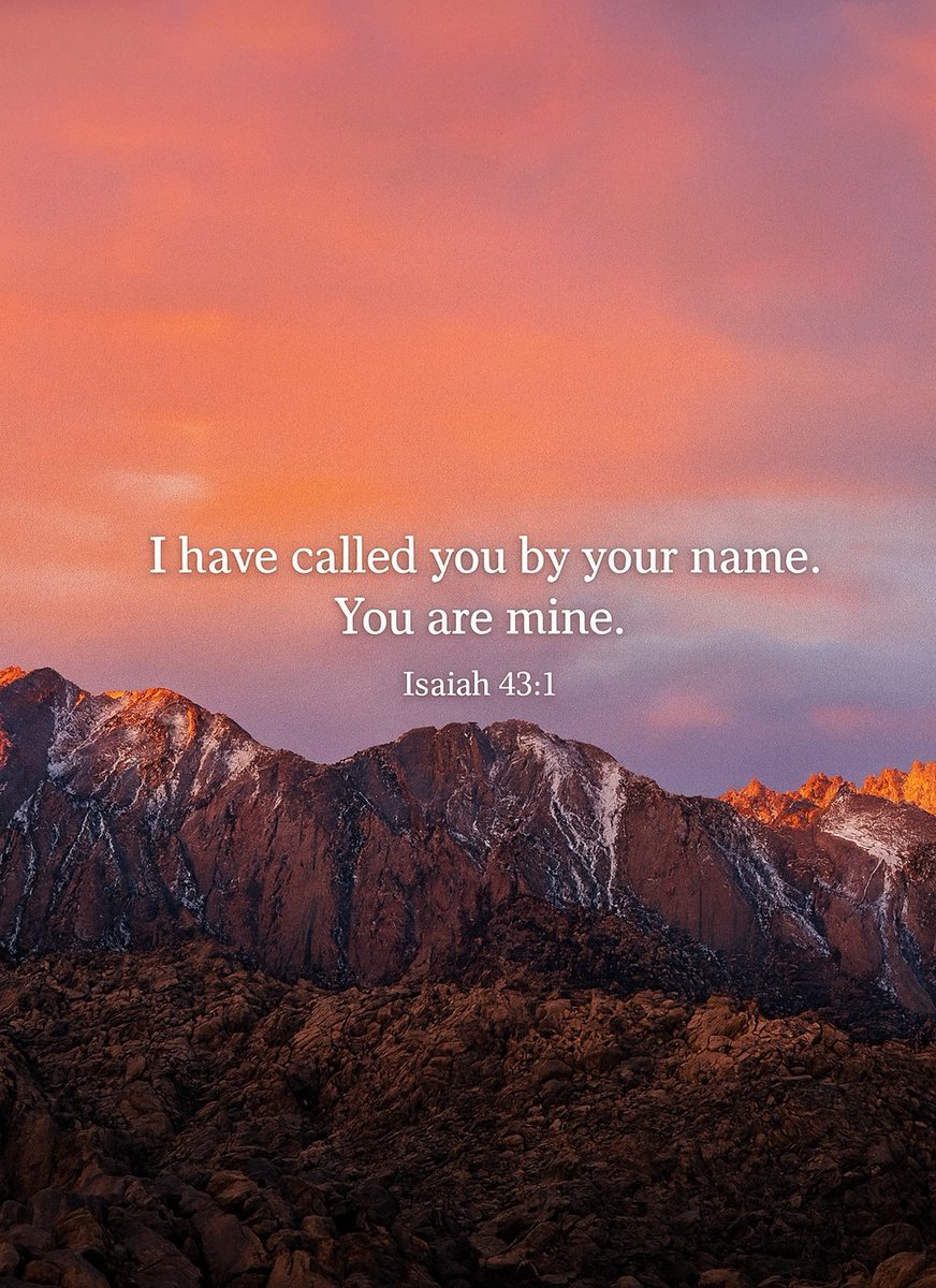 The Bible tweet media