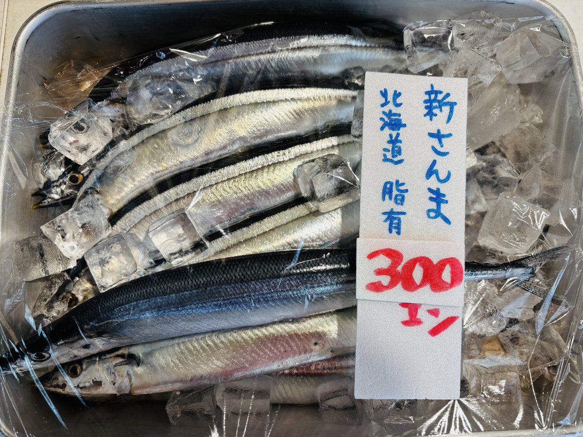 京王多摩川 鮮魚えびす 店主マコト （社会人バンド「mille69