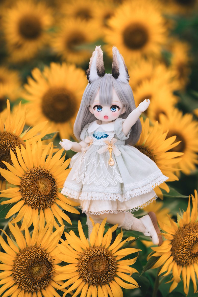 Shiitake🍊🐛 (@shiitake028) on Twitter photo TinyFox 5周年ということで
お気に入りの写真4枚で祝福🎉
しめじちゃん
黒糖ちゃん
こがねちゃん
#Tinyfox
#Tinyfox5周年アニバーサリー
<a href="/MamiroirM/">@MamiroirM</a> TinyFox 5周年ということで
お気に入りの写真4枚で祝福🎉
しめじちゃん
黒糖ちゃん
こがねちゃん
#Tinyfox
#Tinyfox5周年アニバーサリー
<a href="/MamiroirM/">@MamiroirM</a>
