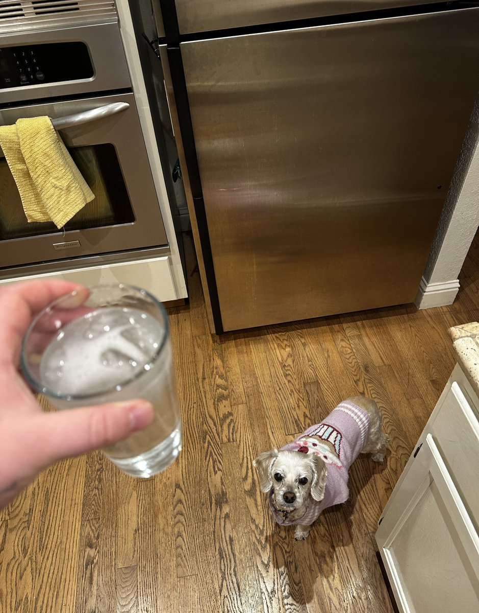 hopes_revenge's tweet photo. she doesn’t know she’s begging for   2mg of alprazolam dissolved in  7  shots of gin https://t.co/Y5a1WbEu2A