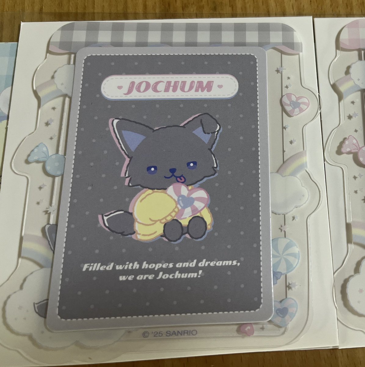 ren111ren's tweet photo. JOCHUM ジェオチャム 交換
サンリオ 硬質ケース 硬質カードケース

【譲】ピーハイ　
【求】レイン

郵送にて交換できる方お気軽にお声掛けください🙇‍♀️

#JO1交換  
#JOCHUM交換
#ジェオチャム交換 https://t.co/r0P2sqK5y1