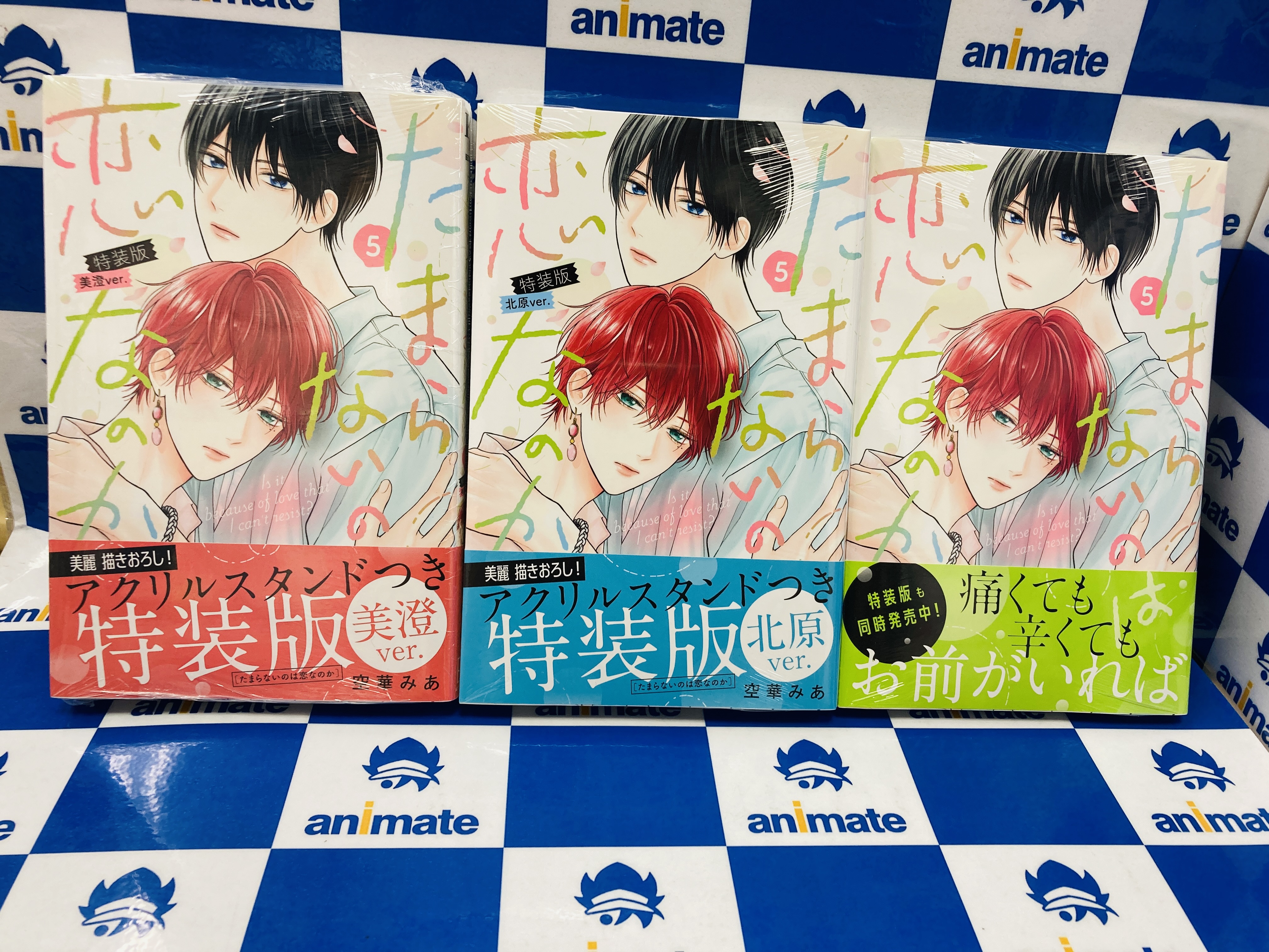 たまらないのは恋なのか ①②③④ アニメイト 小冊子付 Amazon.co.jp: たまらないのは恋なのか 2巻 アニメイトセット
