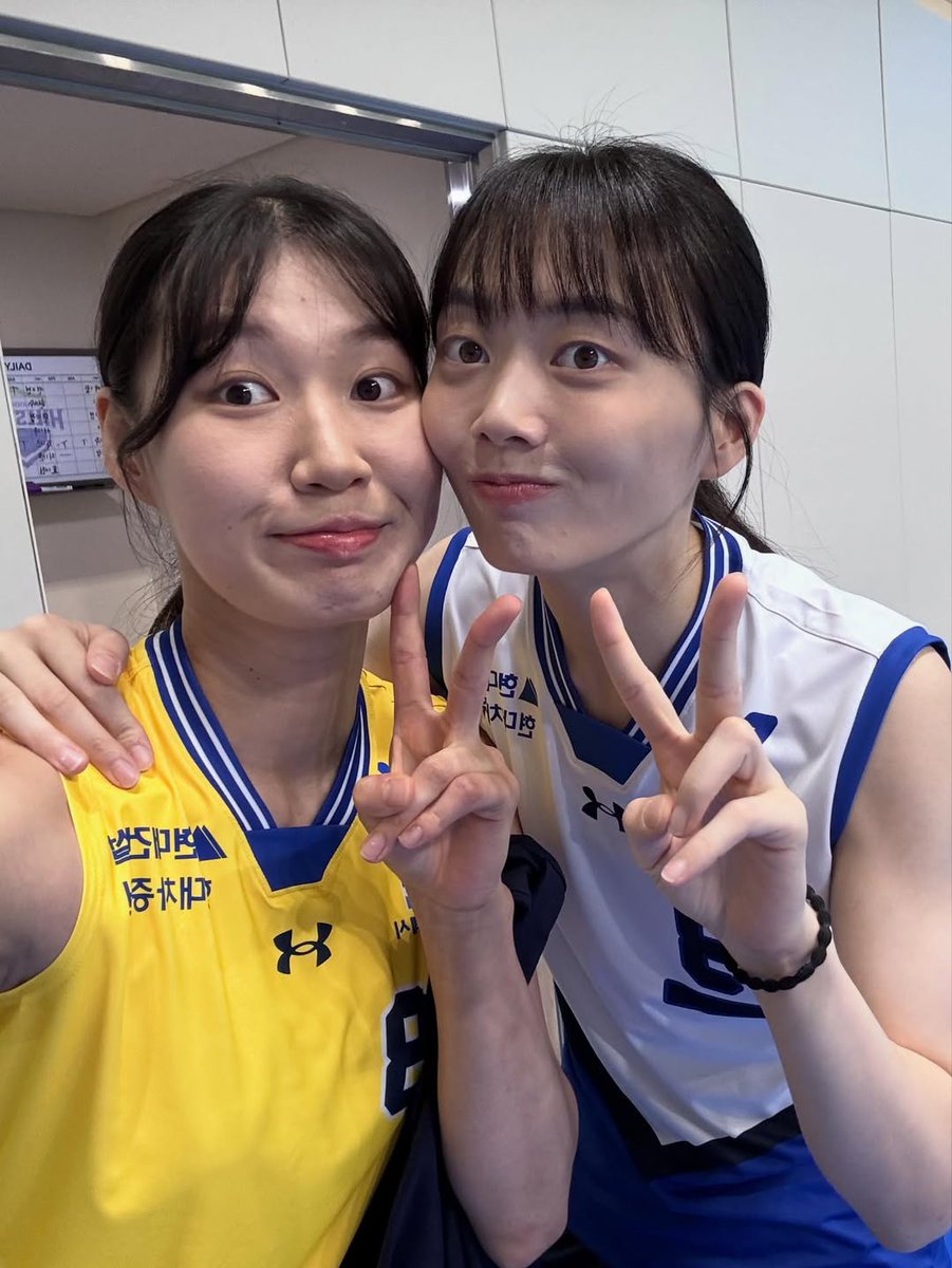 내아기발챙이병아리콩분아