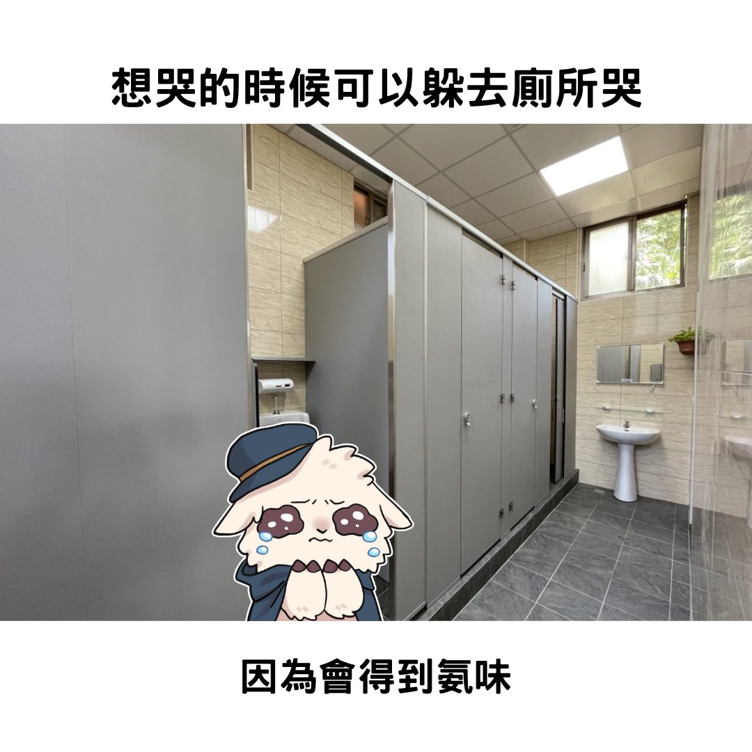 羊駝AlpacaOHO tweet media