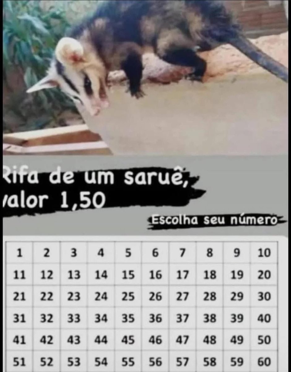 Bigzorpane's tweet photo. To vendendo https://t.co/HE7pBIzERc