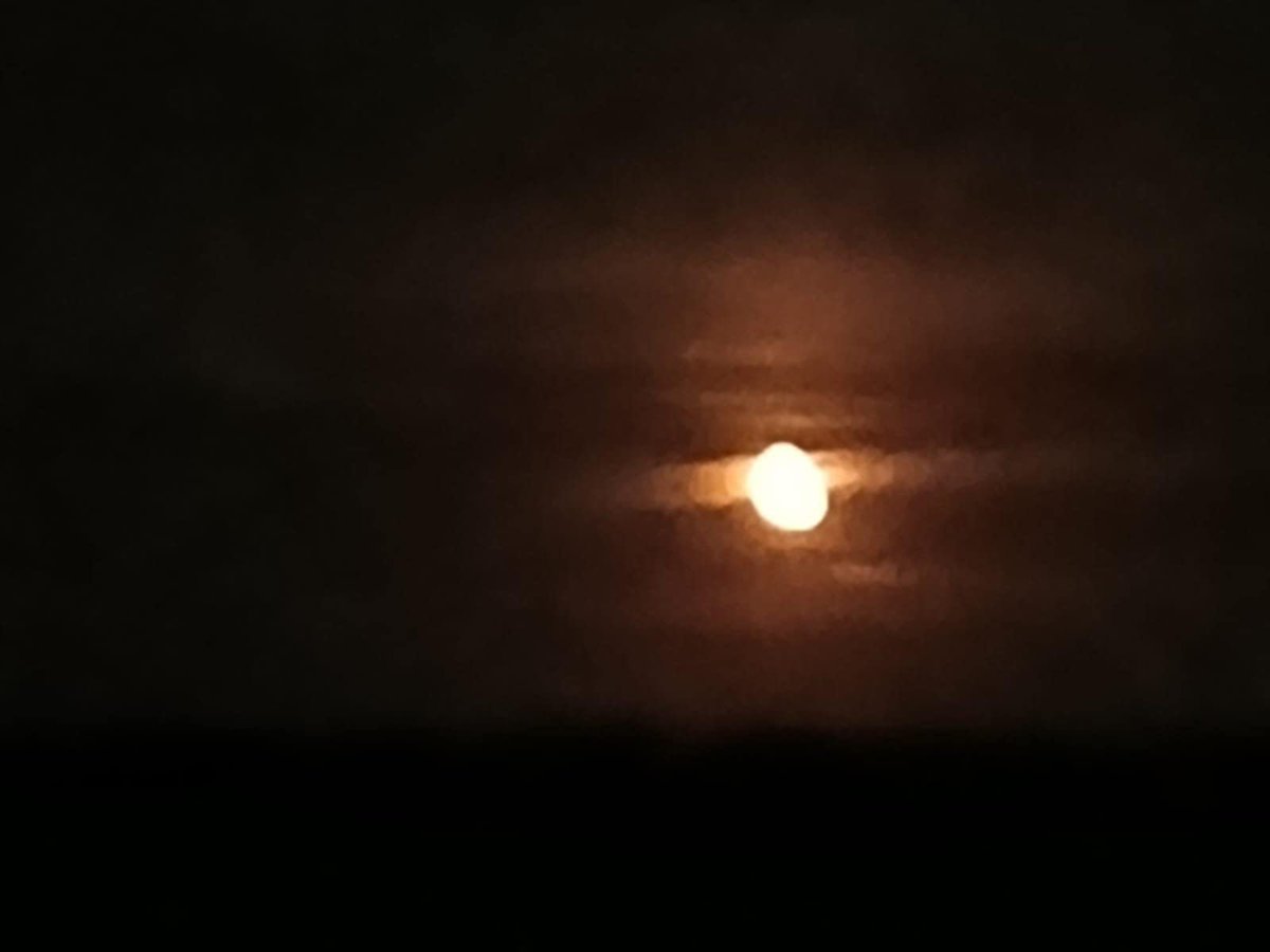 Are we looking at the same moon tonight?

Goodnight, my dear friends… 💕