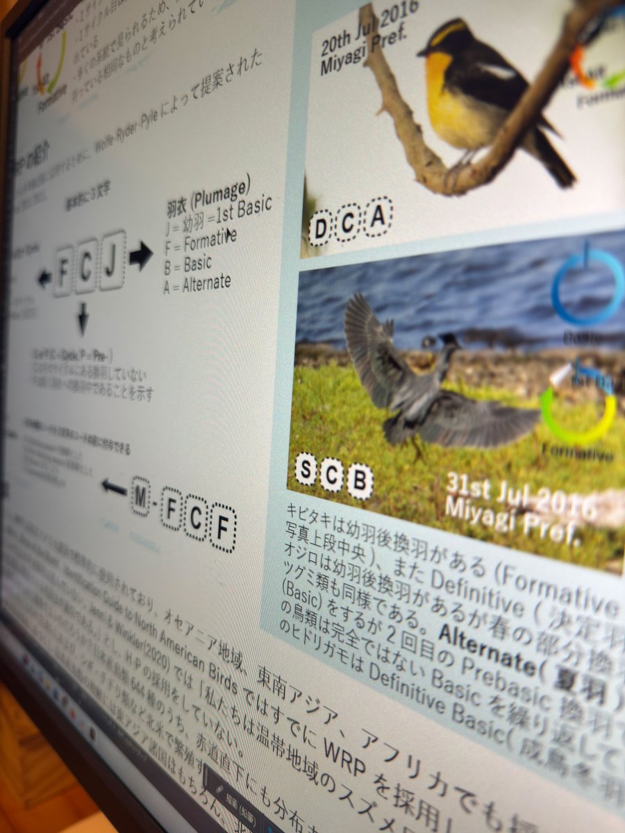 健康上の理由で日本鳥学会2025の欠席を決断しました。断腸の思いです。予定していたポスター P107「換羽サイクルに基づく鳥類の年齢記録システム―日本における導入の意義」 は会場に掲示していただくので、ご覧いただければ幸いです。QRコードからアンケートも実施していますのでぜひ。