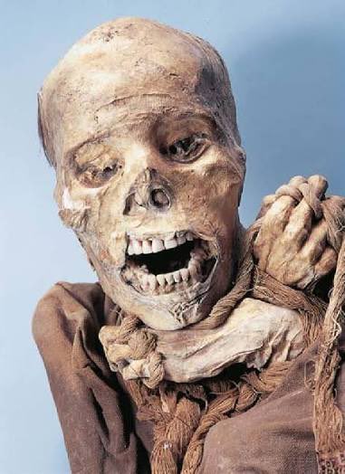 Son unos hijos de puta <a href="/BocaJrsOficial/">Boca Juniors</a>